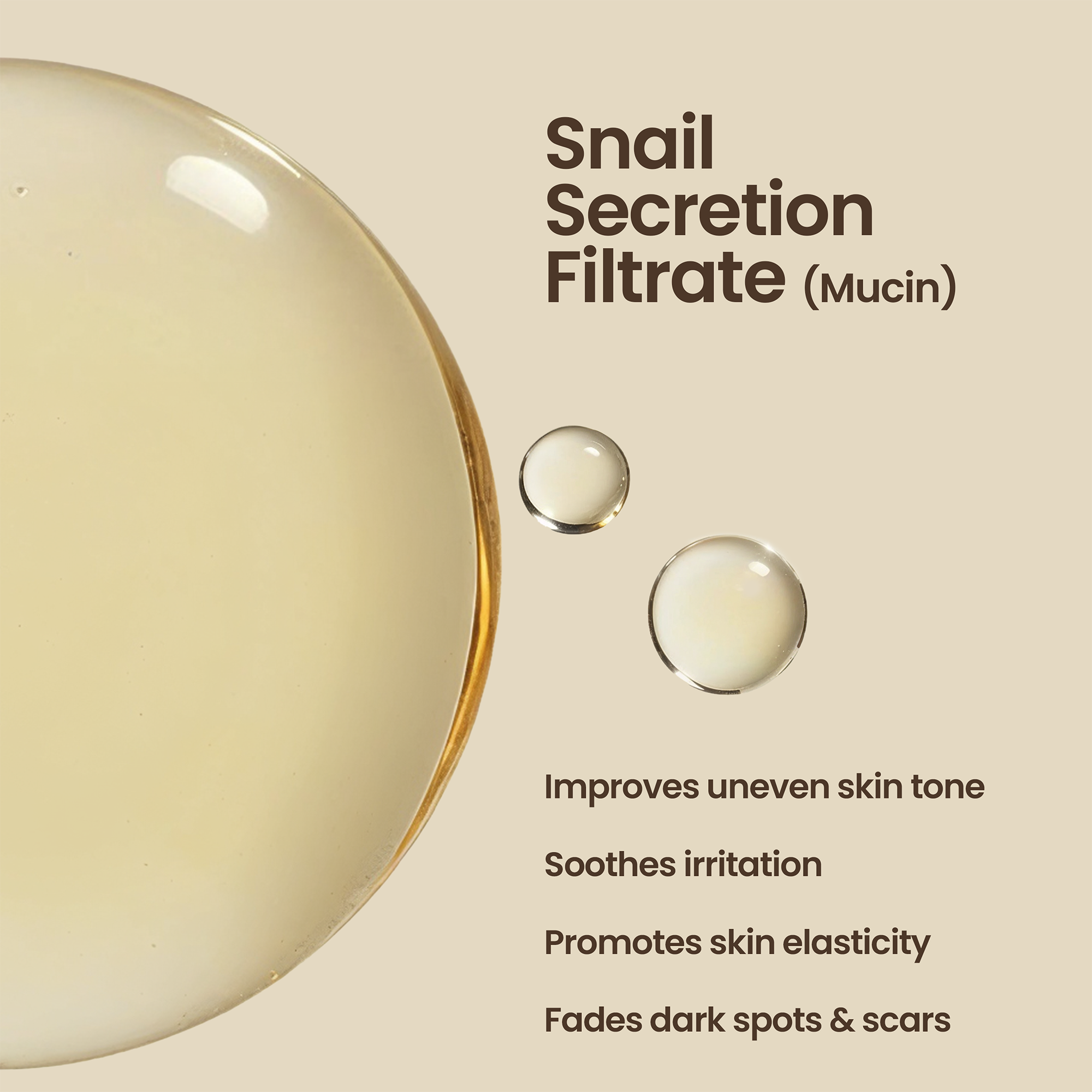 Snail Mucin Essence